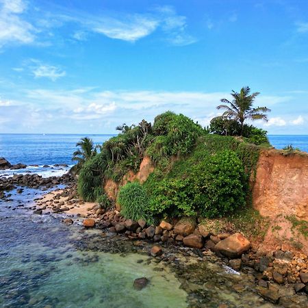 Flora And Fauna Mirissa Exterior photo
