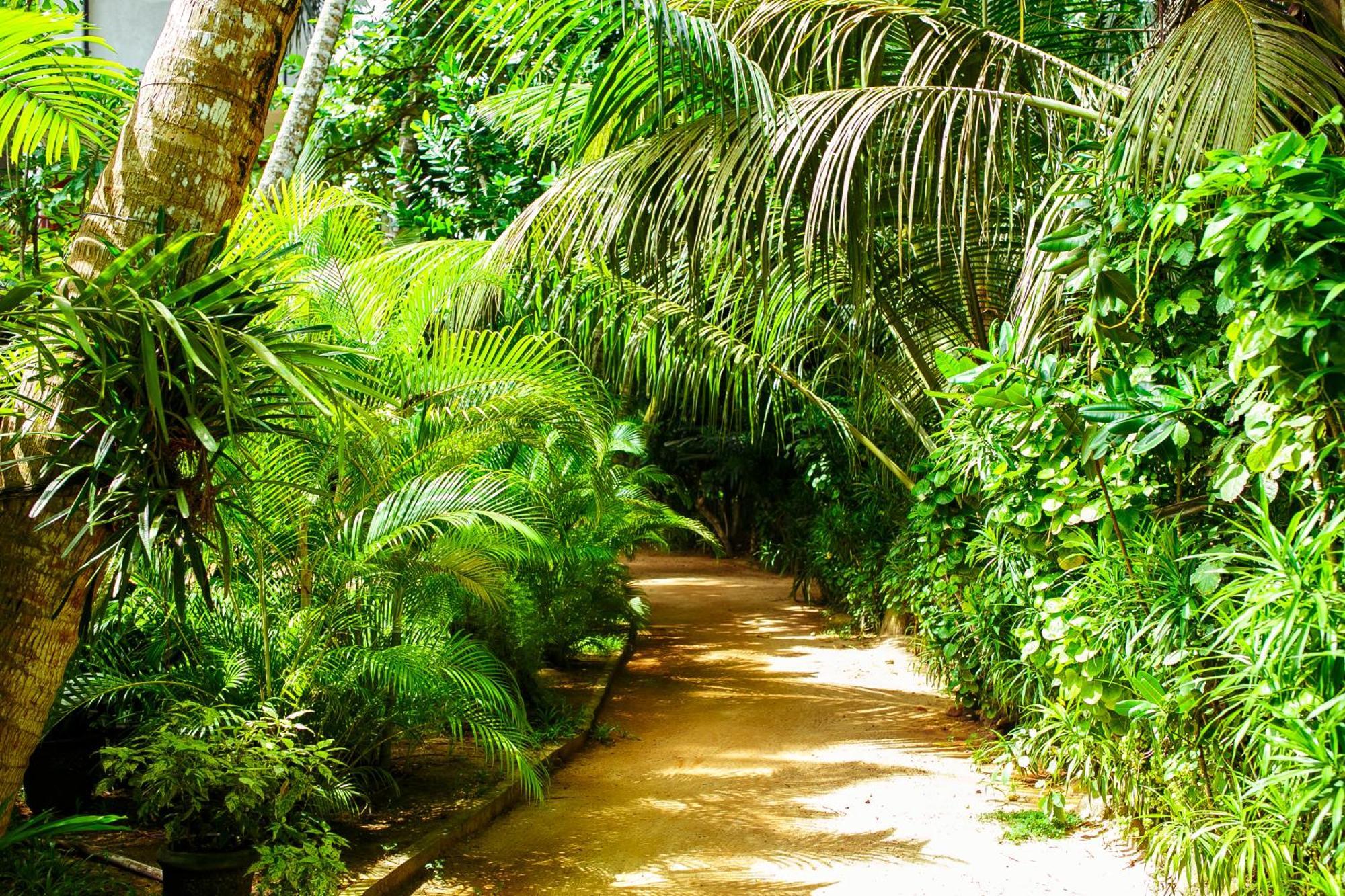Flora And Fauna Mirissa Exterior photo