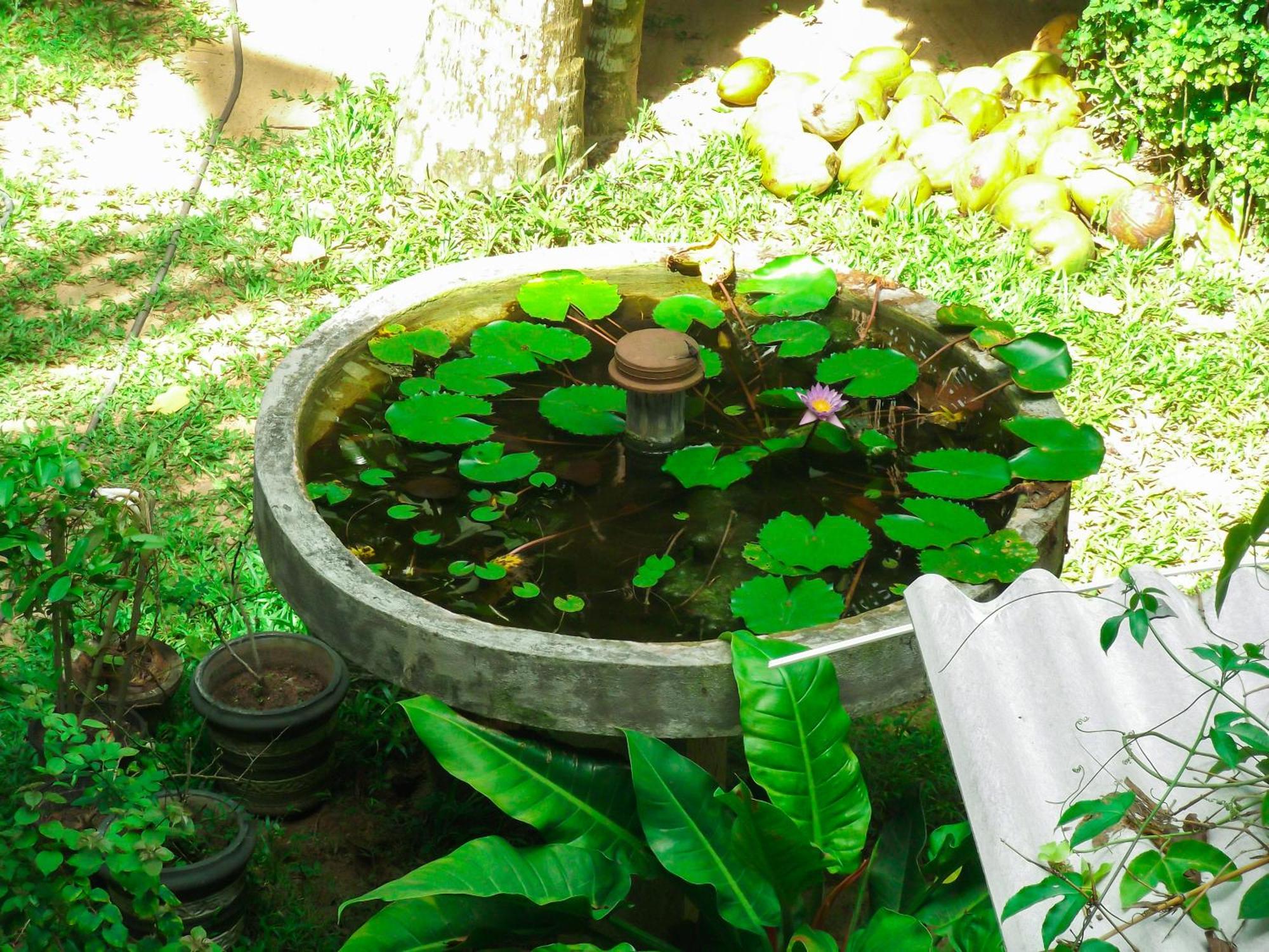 Flora And Fauna Mirissa Exterior photo