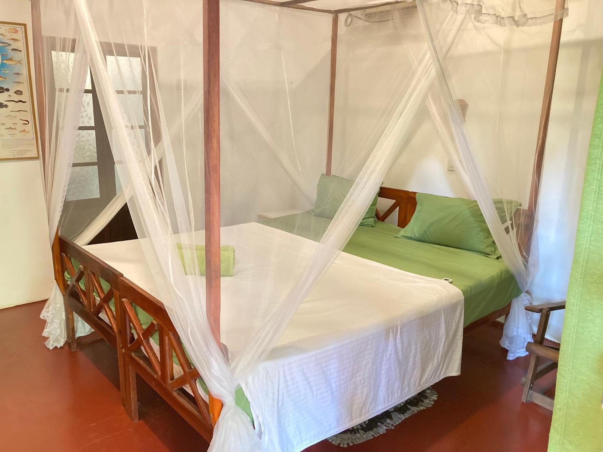 Flora And Fauna Mirissa Room photo