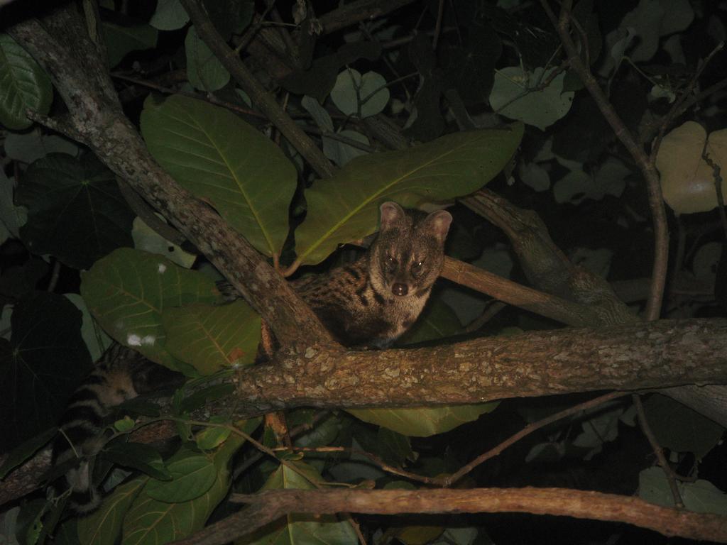 Flora And Fauna Mirissa Exterior photo